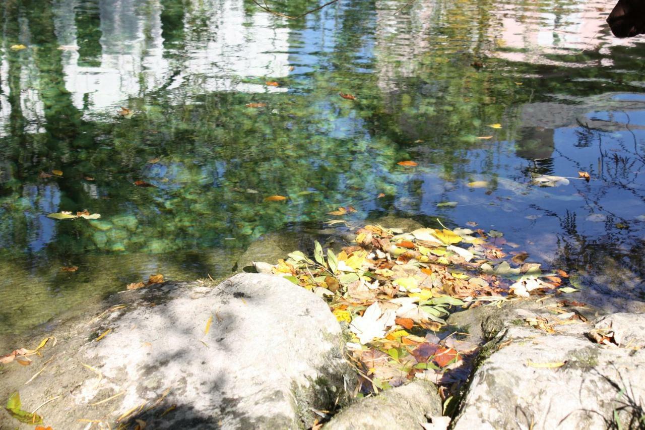Chez Pierre Daire Lunz am See Dış mekan fotoğraf